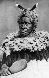 Porträtt av en maori man, före 1880